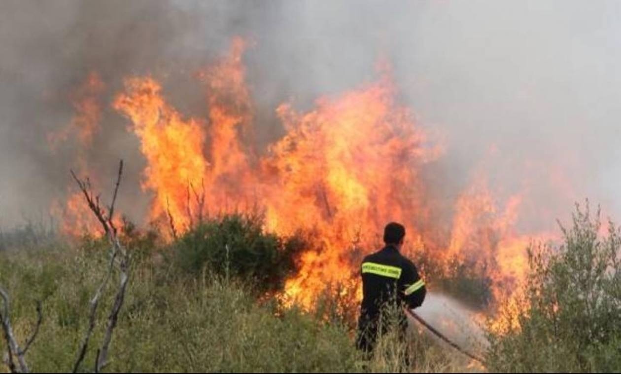 Πύρινα μέτωπα σε όλη τη χώρα: Απειλήθηκαν σπίτια σε Μεγαρα και Πάτρα - Κρανίου τόπος η Μάνη