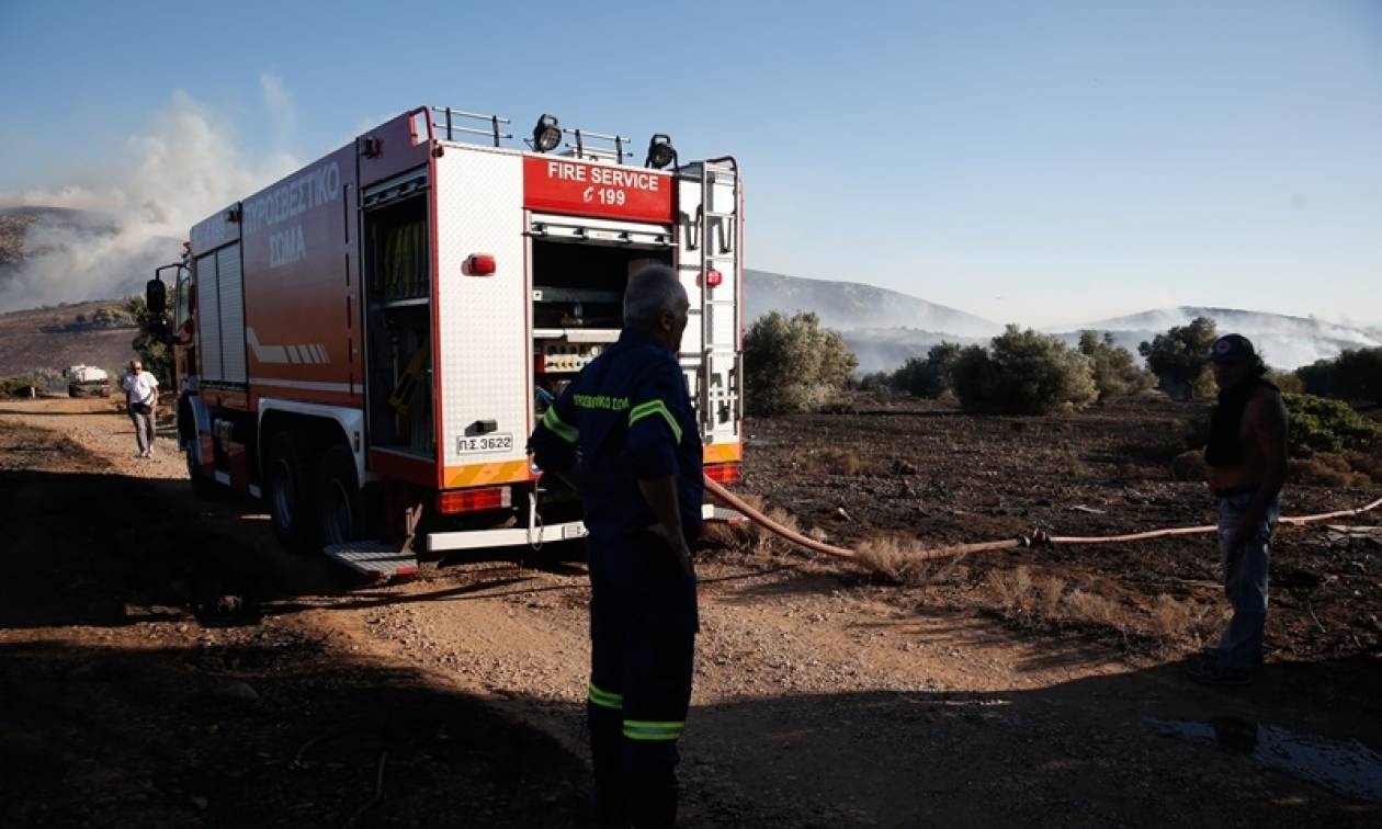 Θάσος: Υπό μερικό έλεγχο η φωτιά