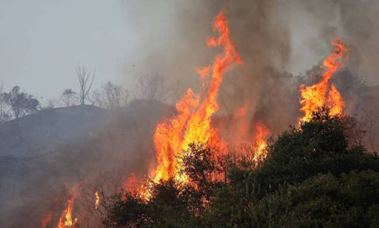 Υπό μερικό έλεγχο η φωτιά στο Σούνιο