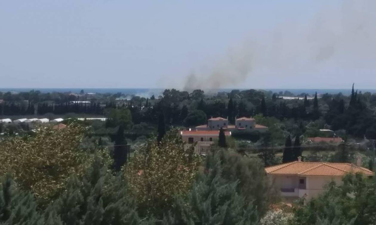 Φωτιά ΤΩΡΑ στο Σχοινιά Αττικής