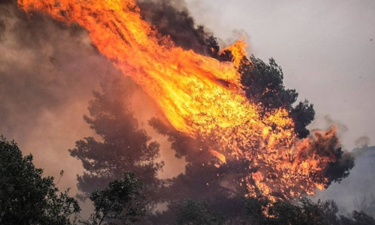 Φωτιά ΤΩΡΑ στον Άγιο Στέφανο Αττικής
