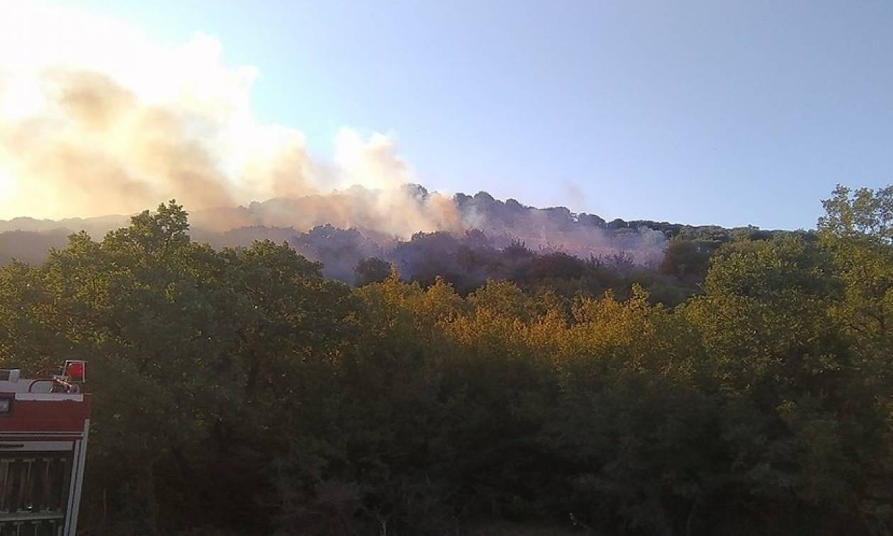 Φωτιά ΤΩΡΑ στην Αλεξανδρούπολη