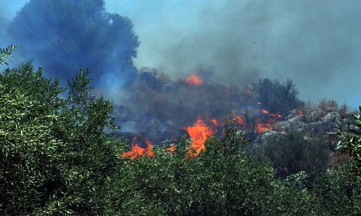 Φωτιά ΤΩΡΑ στο Ηράκλειο Κρήτης