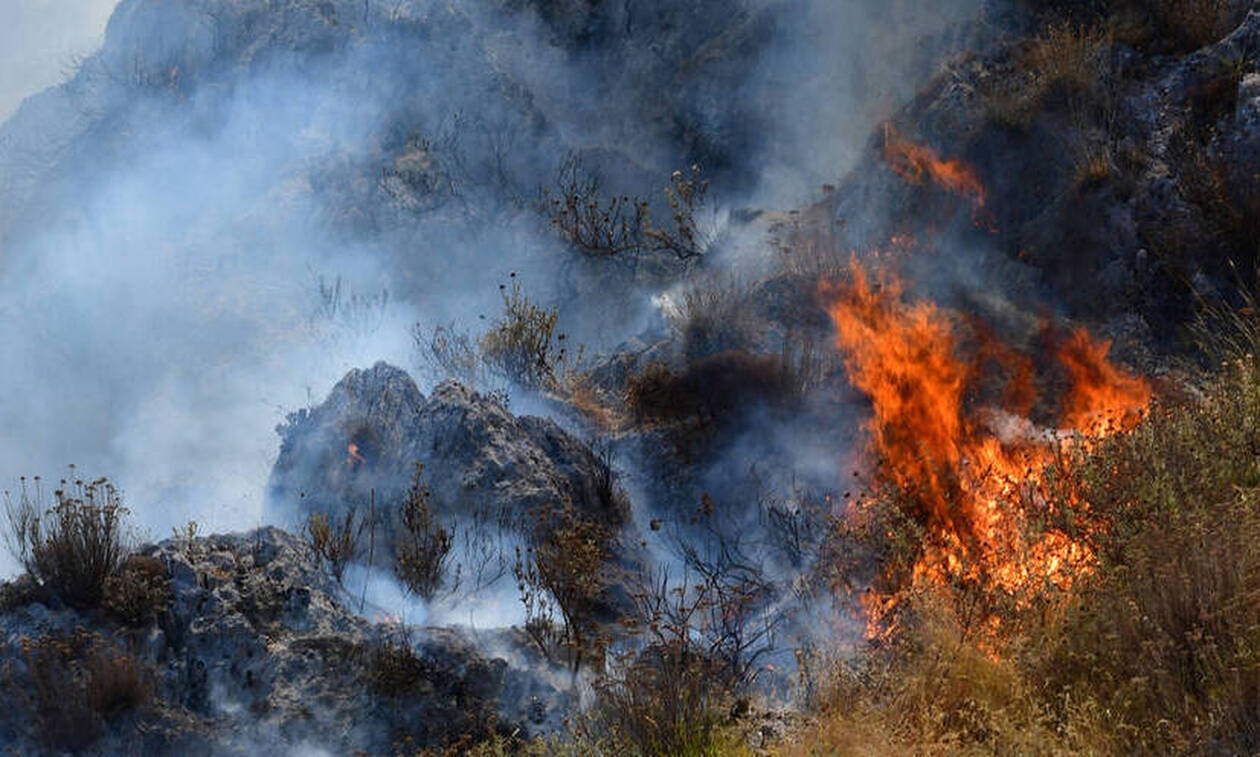 Φωτιά ΤΩΡΑ στην Μάνδρα Αττικής