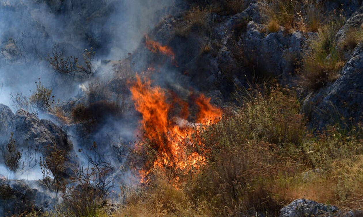Φωτιά ΤΩΡΑ: Μεγάλη πυρκαγιά στο Δομοκό
