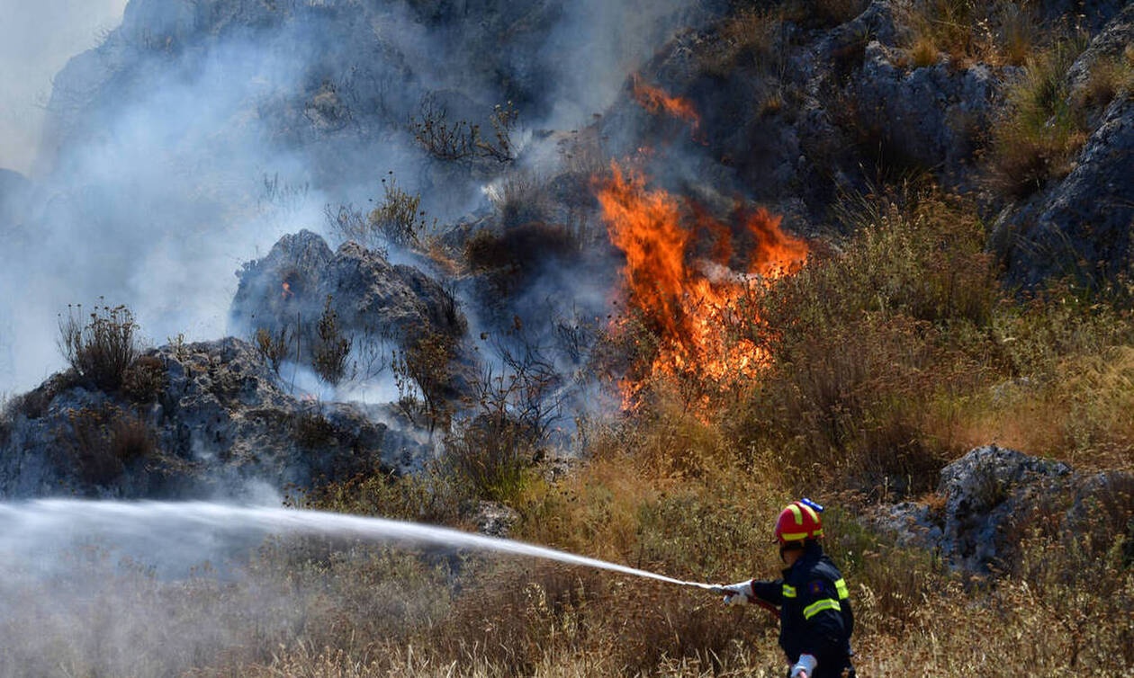 Υπό έλεγχο η πυρκαγιά στην Αρκαδία