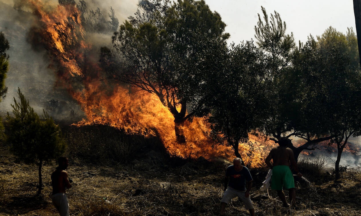 Φωτιά στο Νέο Ικόνιο Περάματος