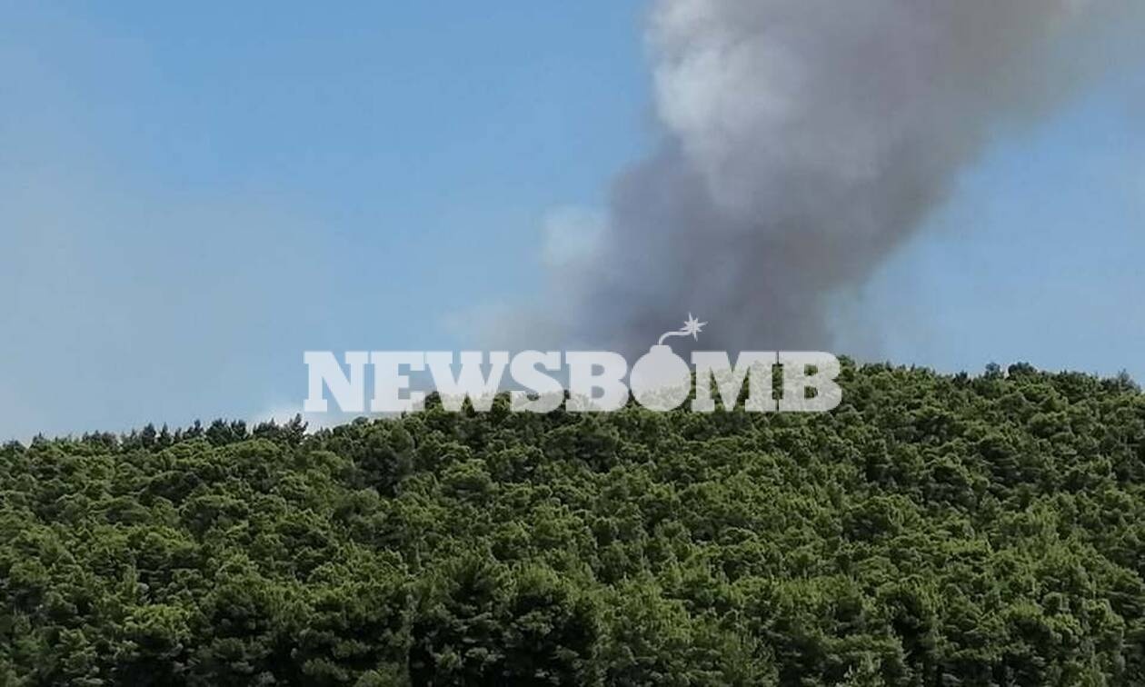 Φωτιά ΤΩΡΑ στον Θεολόγο Φθιώτιδας - Συναγερμός στην Πυροσβεστική (pics)