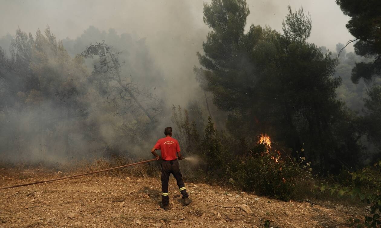 Φωτιά στην Κερατέα: Υπό έλεγχο η πυρκαγιά