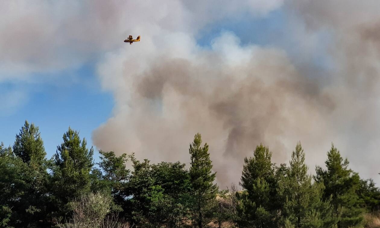 Μεγάλη φωτιά ΤΩΡΑ στο Καρπενήσι