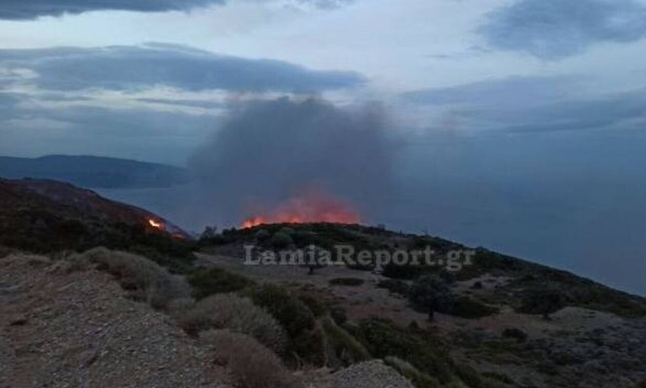 Φωτιά ΤΩΡΑ στην Κάρυστο (vid)
