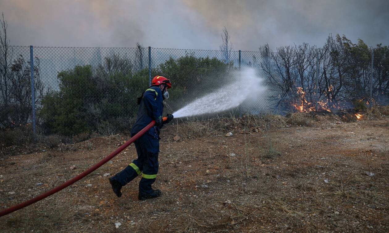 Φωτιά ΤΩΡΑ στο Σαραντάπορο Ελασσόνας