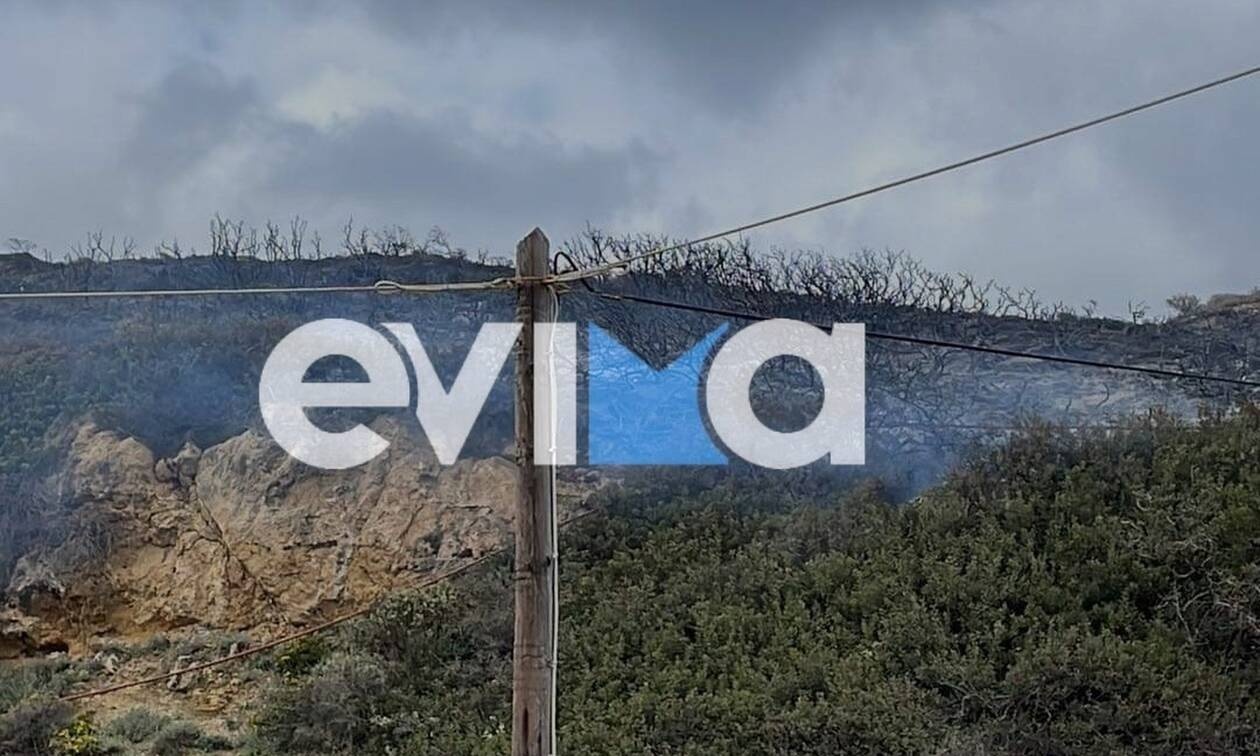 Σκύρος: Μεγάλη φωτιά σε δασική έκταση
