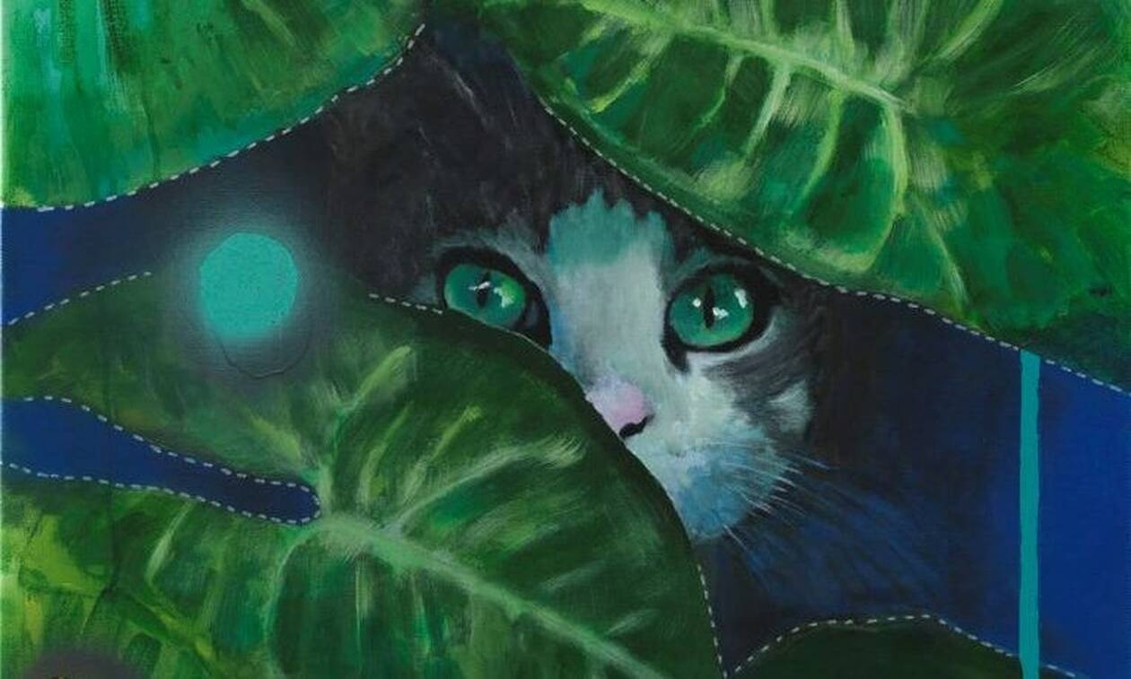 Στέφου Μάϊρα, Eye of the tiger