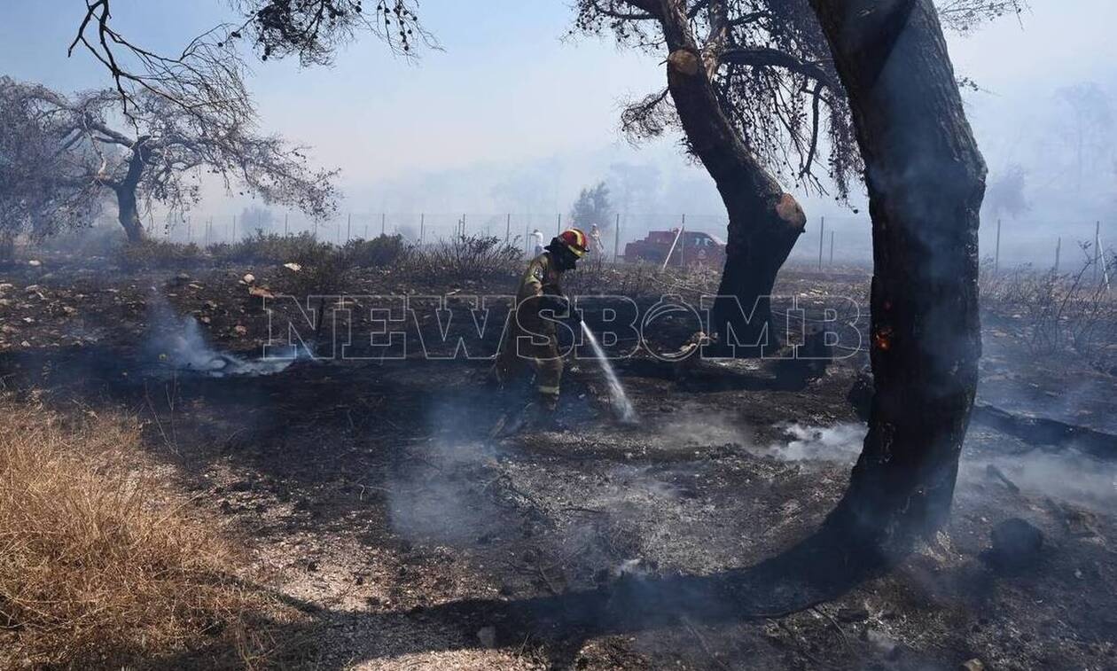 Φωτιά στη Λαυρεωτική: Βελτιωμένη η εικόνα– Για ώρες θα συνεχιστεί η επιχείρηση της πυροσβεστικής
