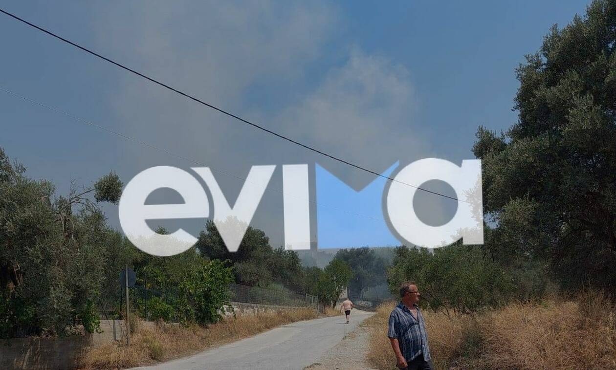 Φωτιά τώρα στο Αλιβέρι Ευβοίας (pic)