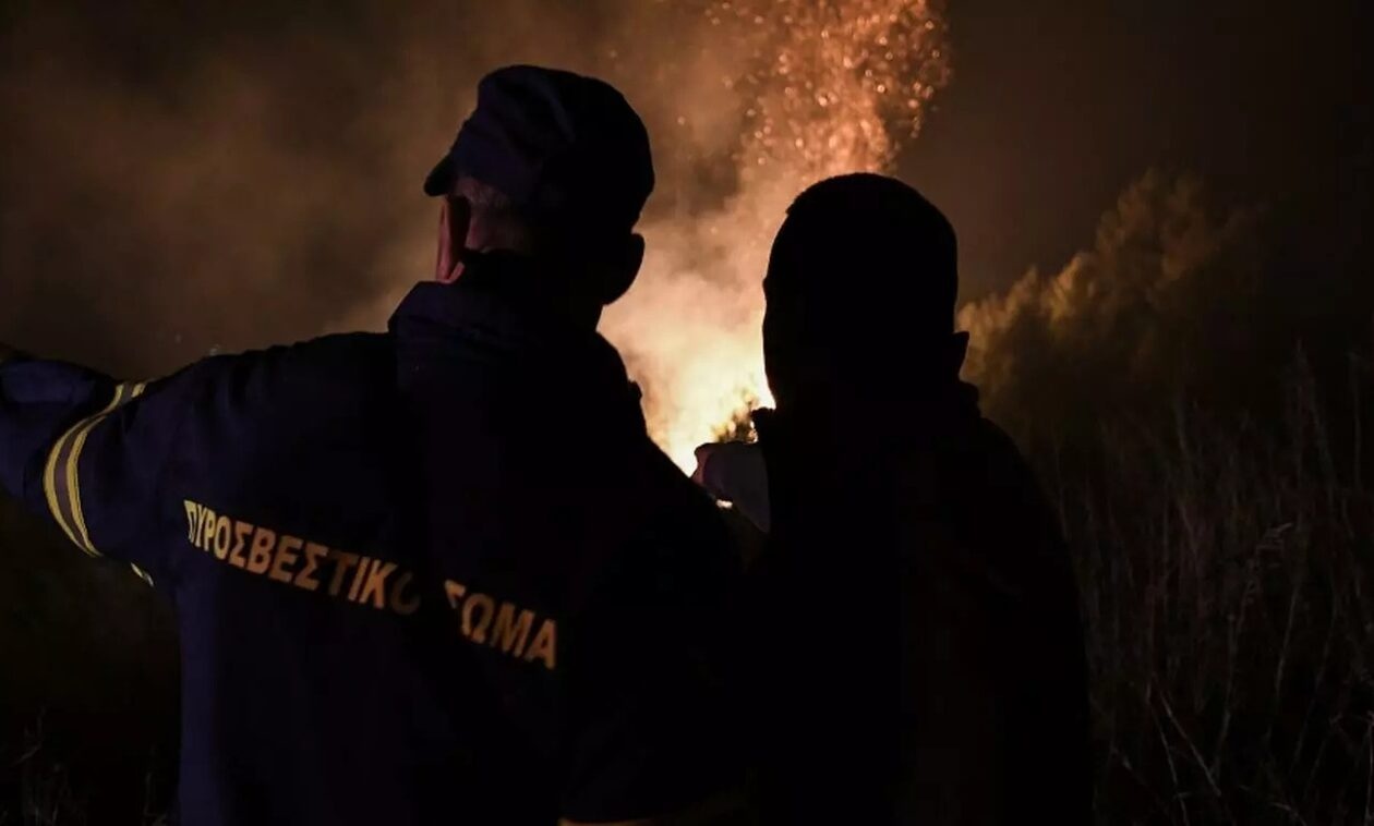 Δασική πυρκαγιά στο Δρυόφυτο Πρέβεζας
