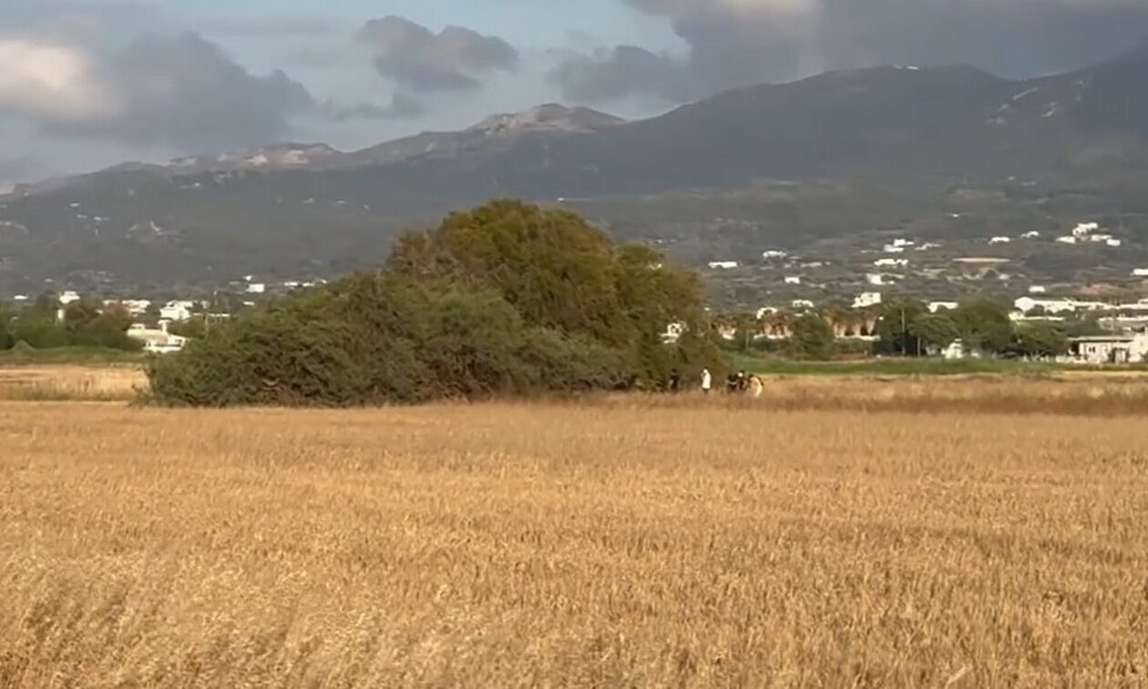 Κως: Το σημείο που εντοπίστηκε νεκρή η 27χρονη Αναστάζια - Μέσα σε σακούλα η μισή σορός
