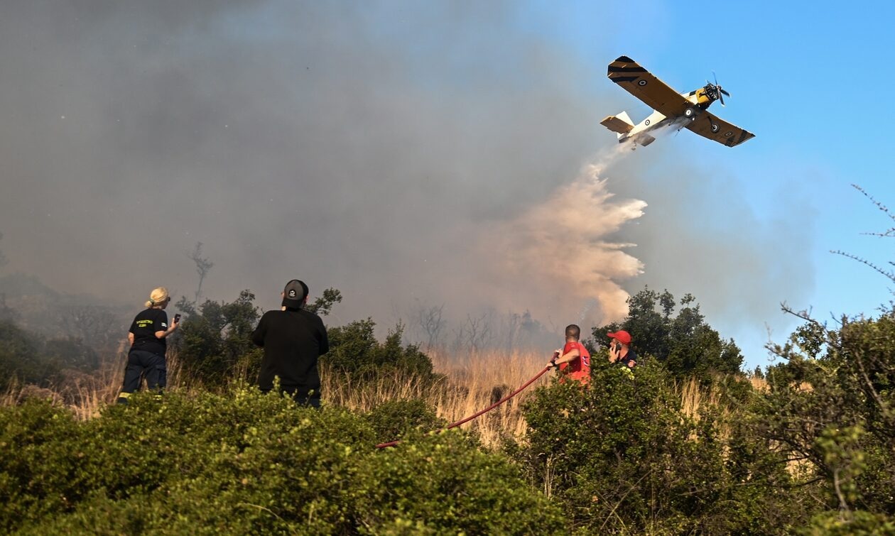 Σε ύφεση το πύρινο μέτωπο στη Λαμία