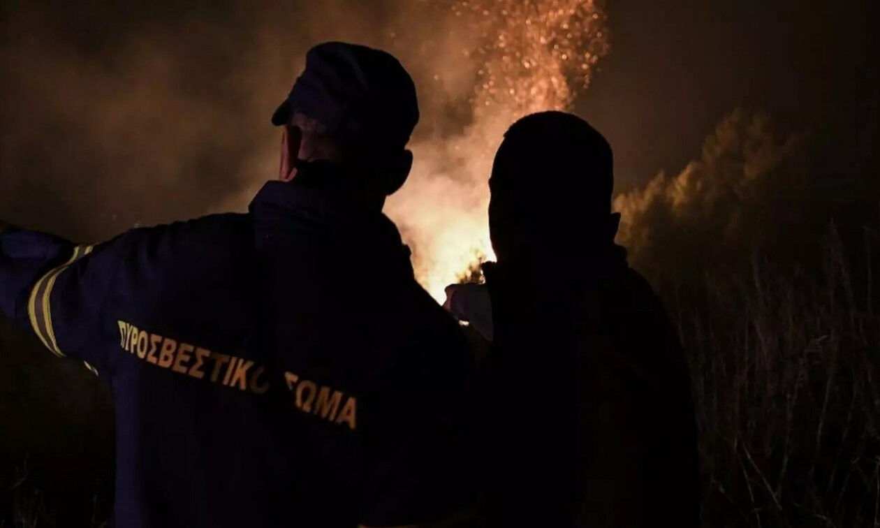 Φωτιά στη Δράμα: Πυρκαγιά ξέσπασε σε δασική έκταση στην περιοχή Ζαρκάδια Παρανεστίου