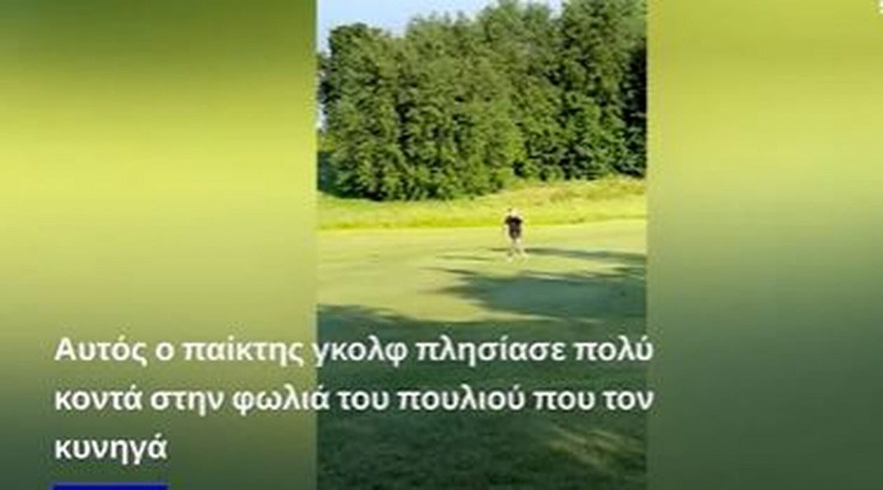 Θυμωμένο... πουλί κυνηγά παίκτη του γκολφ!