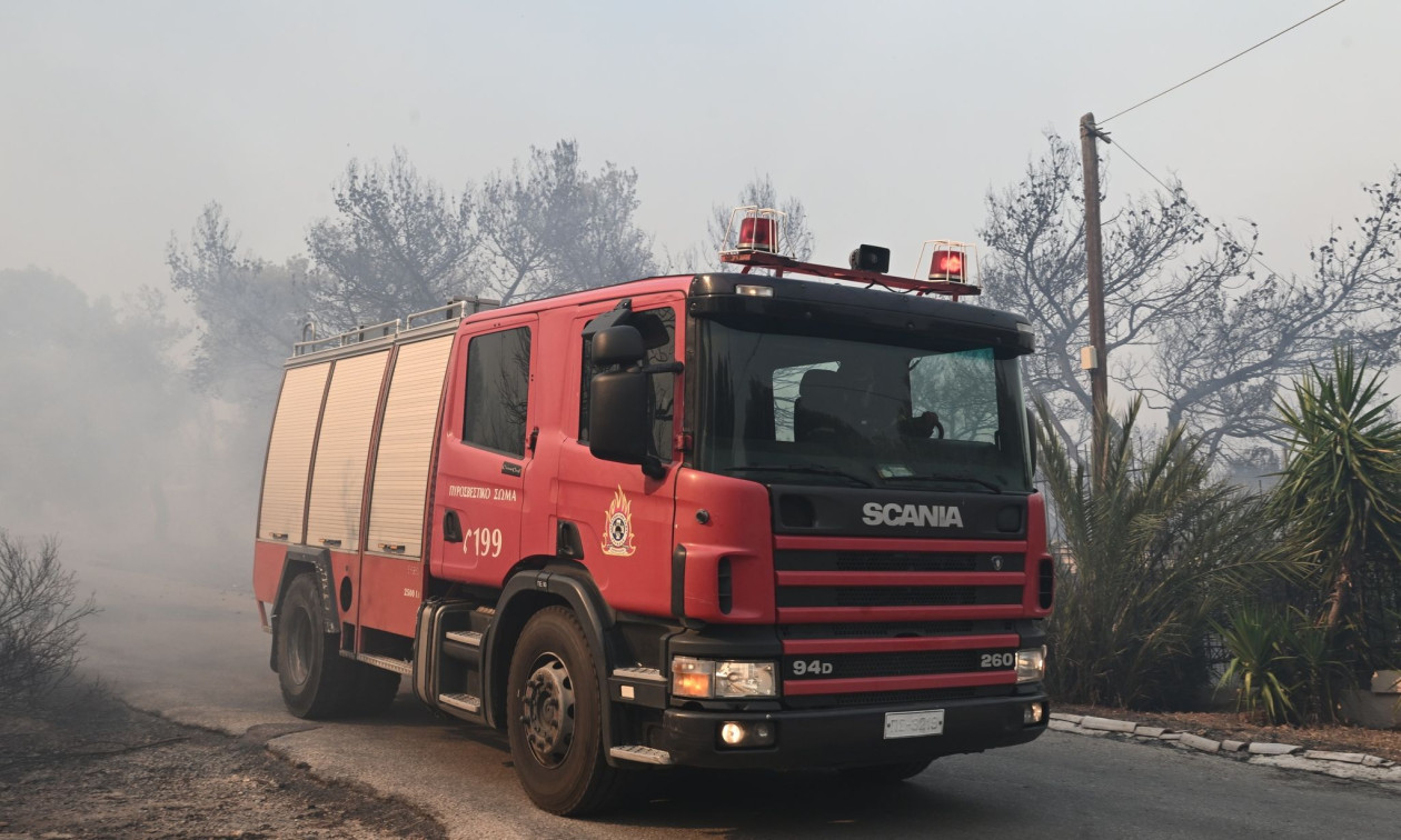 fd97c2a8-1718908812880-420630232-purosvestiko.jpg?t=IfMBlvnKie_F7iGmIIdAkw