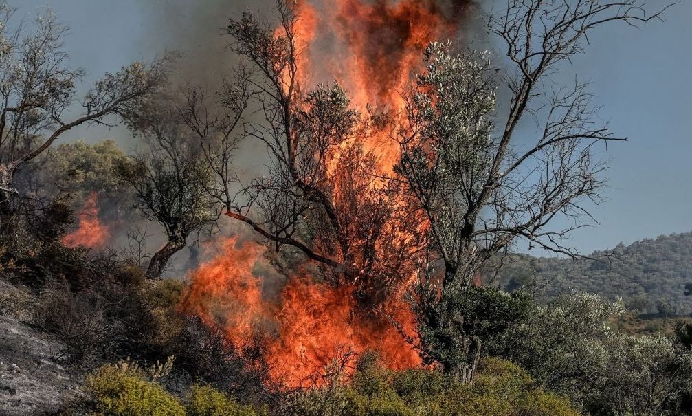 Πυρκαγιά σε οικόπεδο στη Σκάλα Ωρωπού