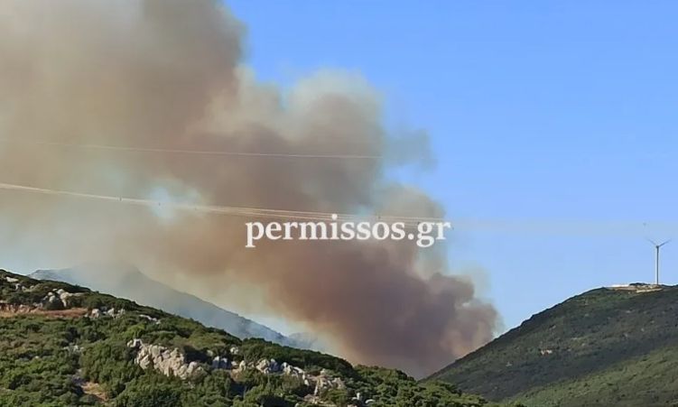 Φωτιά τώρα στο Δίστομο Βοιωτίας: Ισχυρές δυνάμεις έσπευσαν στο σημείο, δεν κινδυνεύουν σπίτια