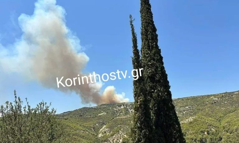 Φωτιά σε δασική έκταση στη Στιμάγκα Κορινθίας – Μεγάλη κινητοποίηση της πυροσβεστικής