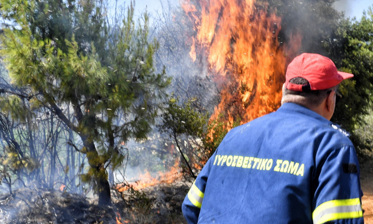 Φωτιά στην Κορινθία: Mάχη με διάσπαρτες εστίες δίνει η Πυροσβεστική στο Κούτσι Νεμέας