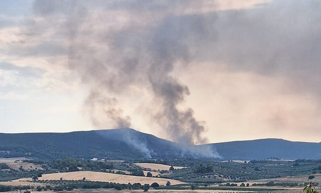 Οριοθετήθηκε η φωτιά στην Τανάγρα