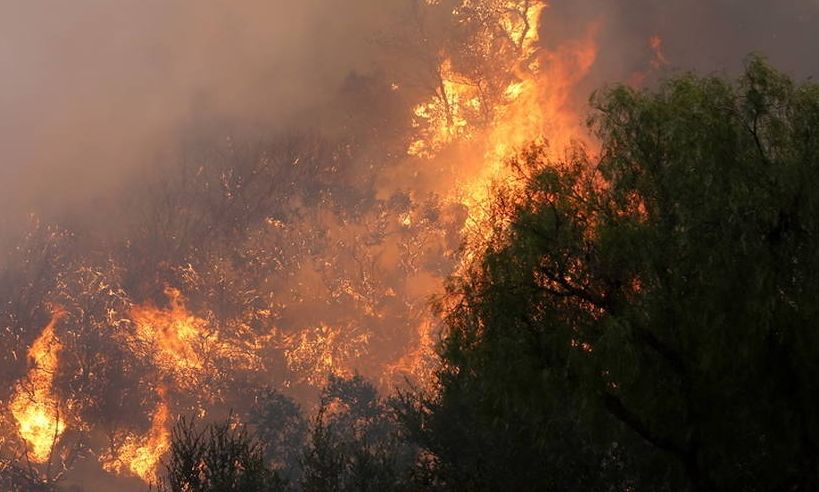 Φωτιά στην Θεσπρωτία: Βελτιωμένη η κατάσταση στον Παλαμπά - Δεν κινδυνεύει οικισμός