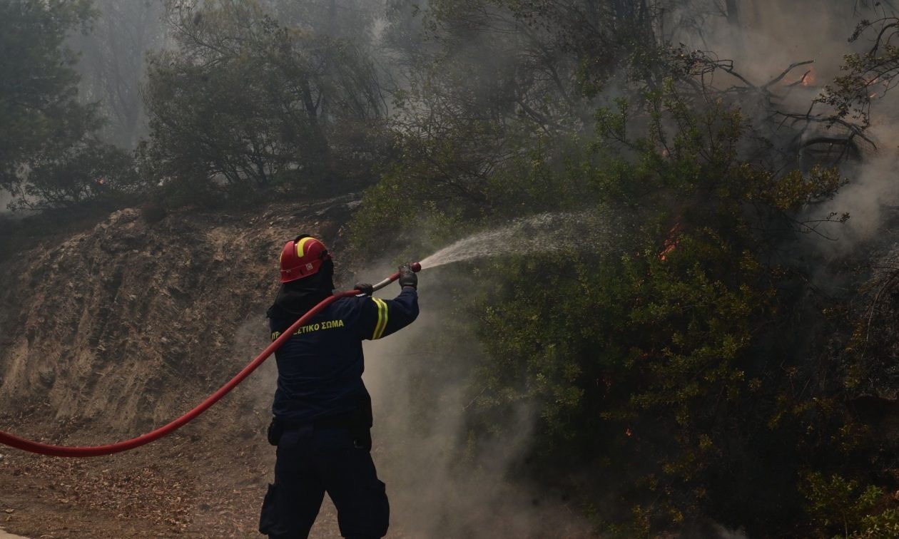 Χαλκιδική: Φωτιά στη Συκιά – Στη «μάχη» και εναέρια μέσα
