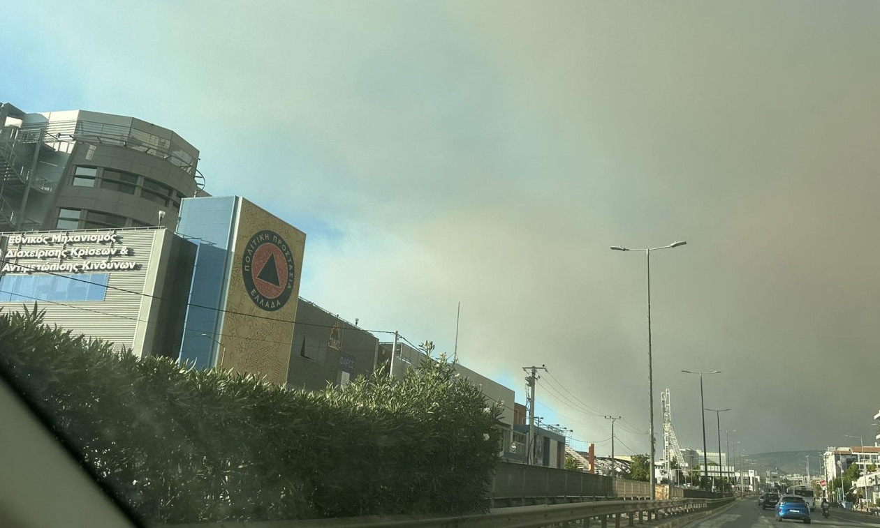 Καιγόμαστε κάθε χρόνο λόγω «εμμονής» - Νέο μοντέλο διαχείρισης πυρκαγιών προτείνουν οι ειδικοί