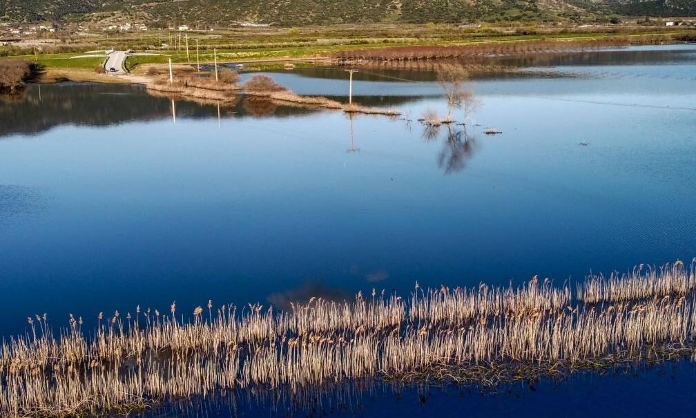 Αυτό είναι το πόρισμα της της Εισαγγελίας Βόλου για το θυρόφραγμα της Κάρλας