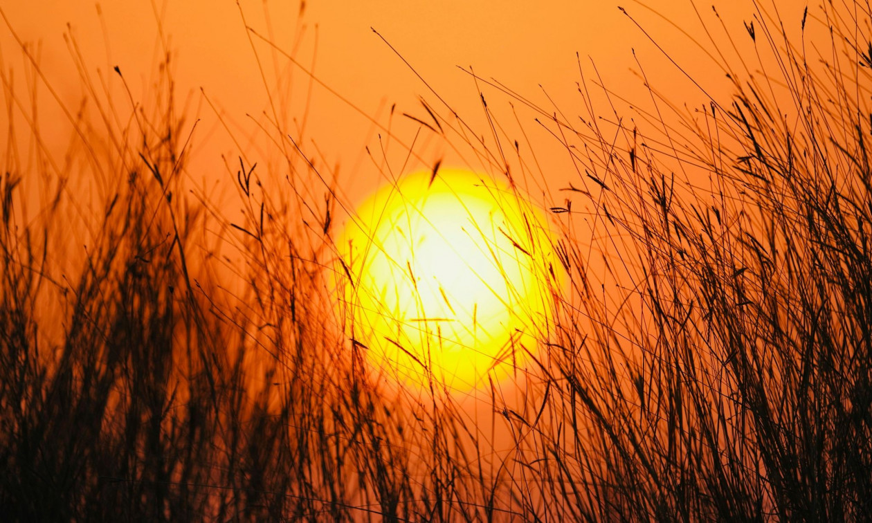 Weather forecast: Scattered clouds on Monday