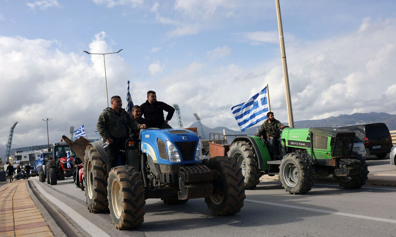 10644938-agrotes.jpg?t=NDqFXCcnqY_yIfo93lPjlA