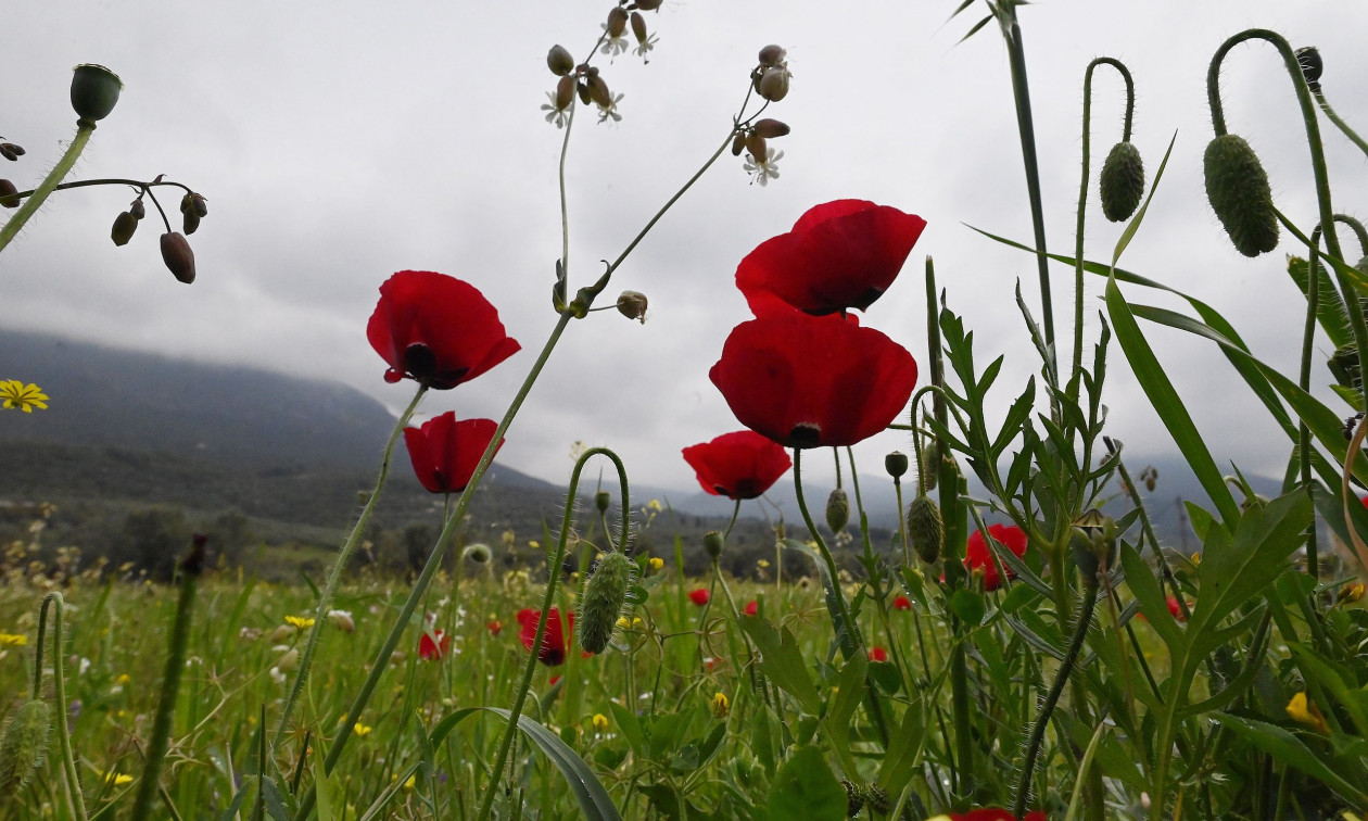 Weather forecast: Scattered clouds on Tuesday