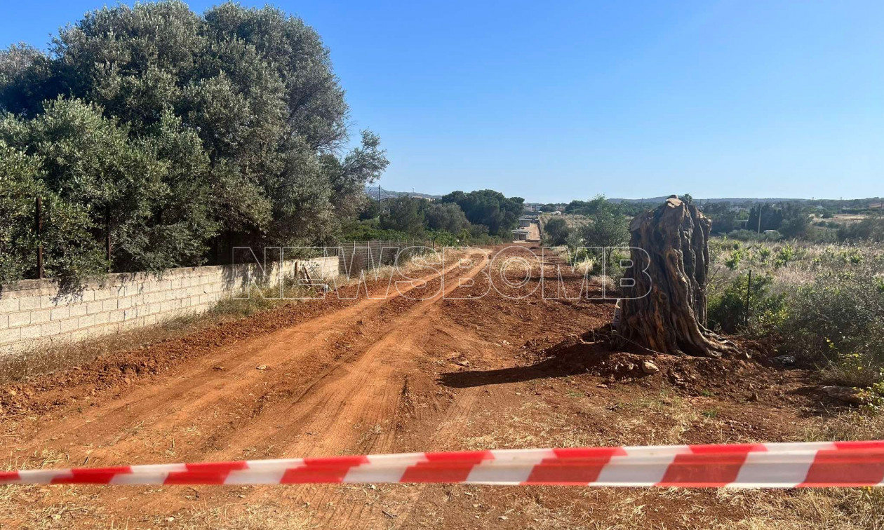 Ρεπορτάζ Newsbomb - Αρτέμιδα: Νεκρός Αλβανός μετά από πυροβολισμό – Τον αναζητούσε η γυναίκα του