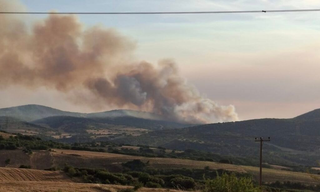 Θεσσαλονίκη: Σε εξέλιξη η μεγάλη φωτιά στο Ωραιόκαστρο - Ήχησε το 112, δείτε εικόνες