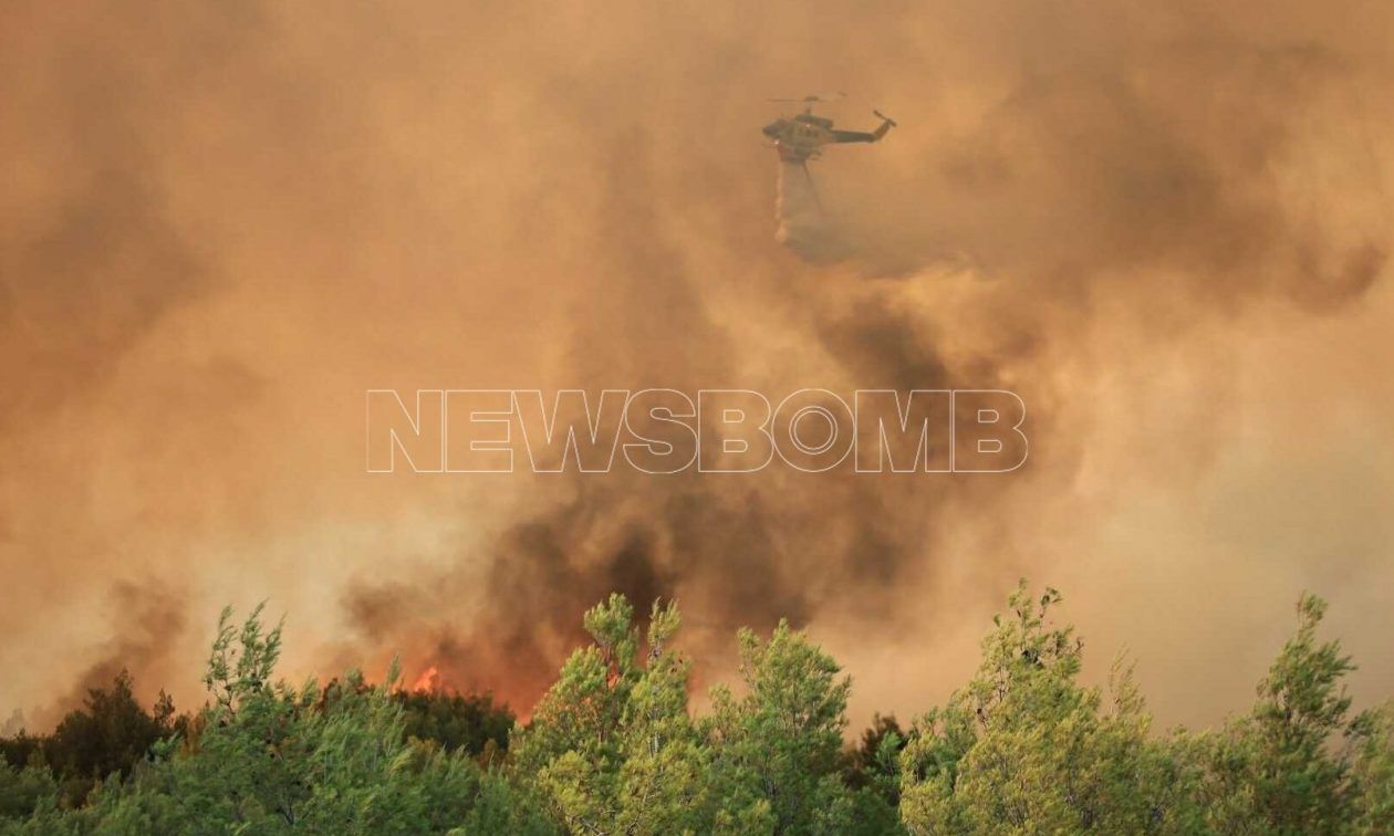 1752080568179-767155592-1492fc6d-fotia-oropos5.jpg?t=b67U83KY72fH6dNU38UP8A