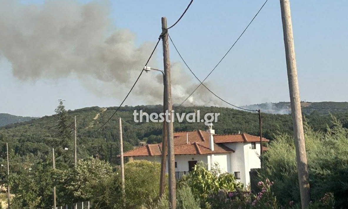Φωτιά τώρα στο δάσος του Φιλύρου στη Θεσσαλονίκη - Μήνυμα του 112 στους κατοίκους για ετοιμότητα