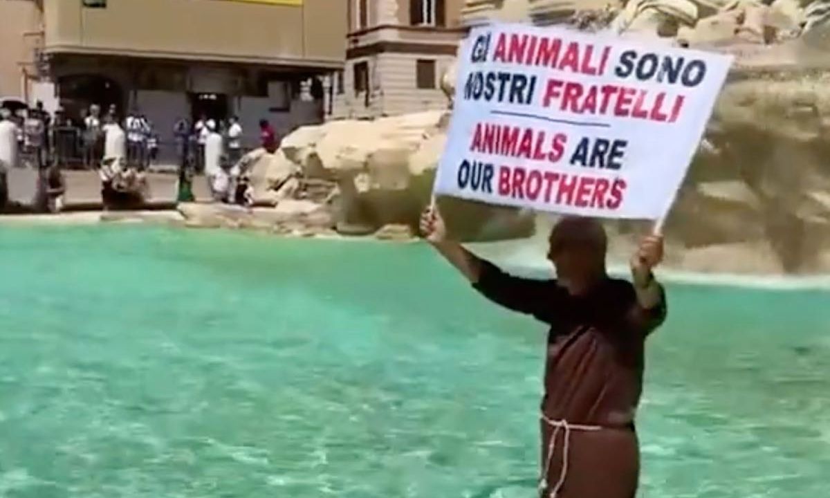 Ρώμη: Μοναχός μπήκε στην Φοντάνα ντι Τρέβι και έγινε viral - Για ποιο λόγο διαμαρτυρόταν (Βίντεο)
