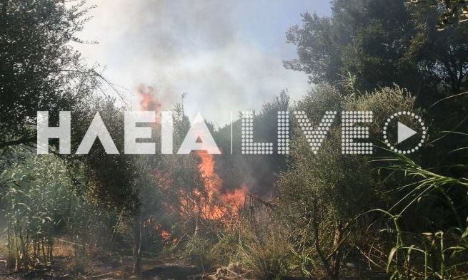 Μεγάλη φωτιά στην Μέλισσα Λεχαινών Ηλείας - Ήχησε το 112