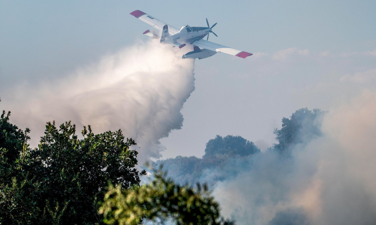 fotia.jpg?t=Mw4hv4irdc6AfiuSISrB9g