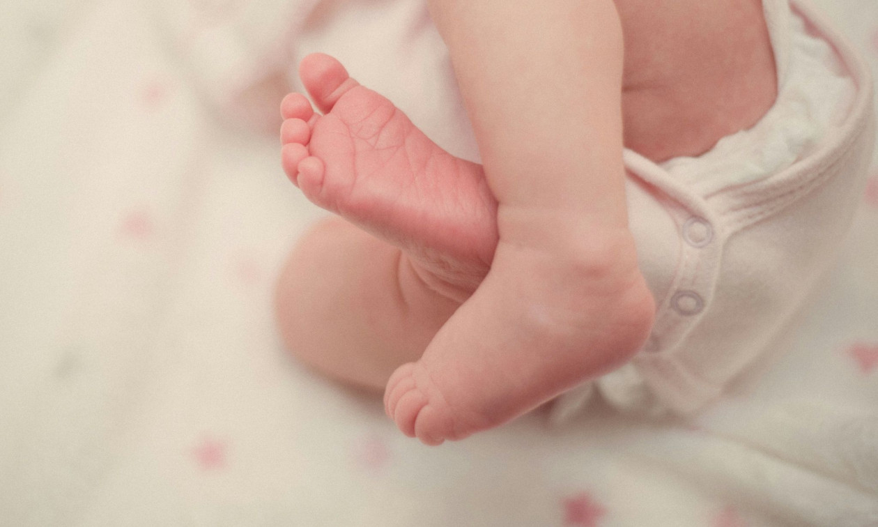 vrefos.jpg?t=qVWq_cG0DLUEwqFJI_Nj1g