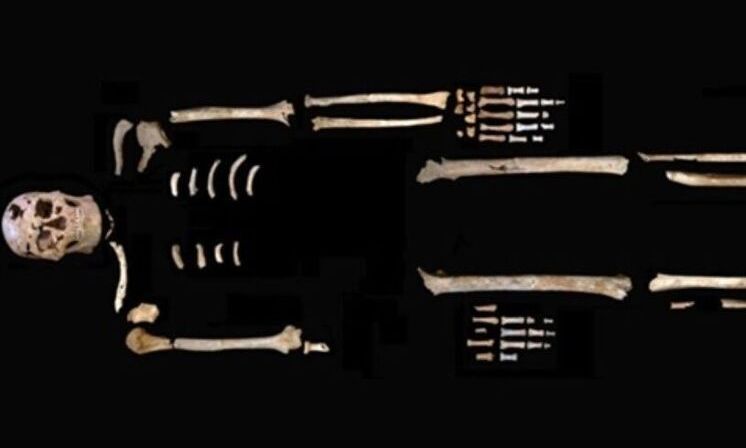 2e677b0e-56125977d8710ab015abe40052cf2de4.jpg?t=ErpxPOIUmG6JAJExcI8kyQ