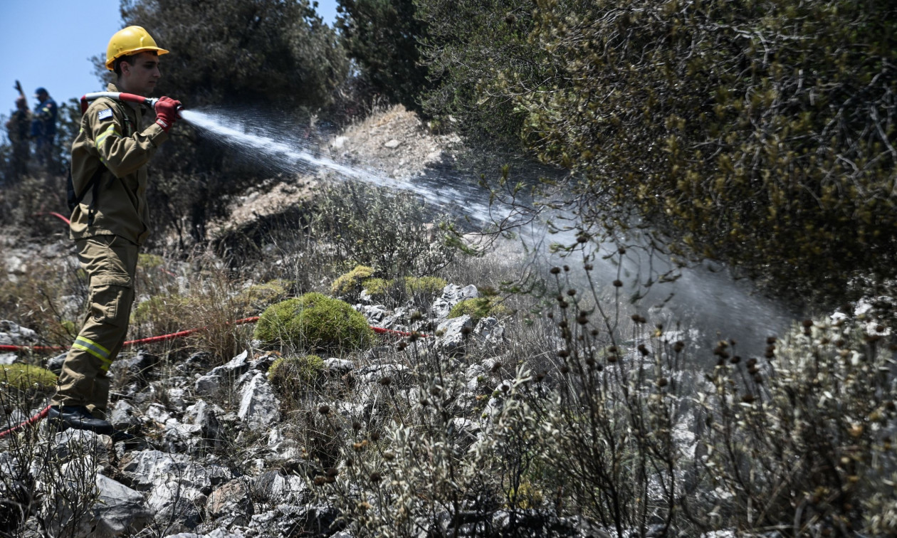 Άμεση κινητοποίηση των πυροσβεστικών δυνάμεων.