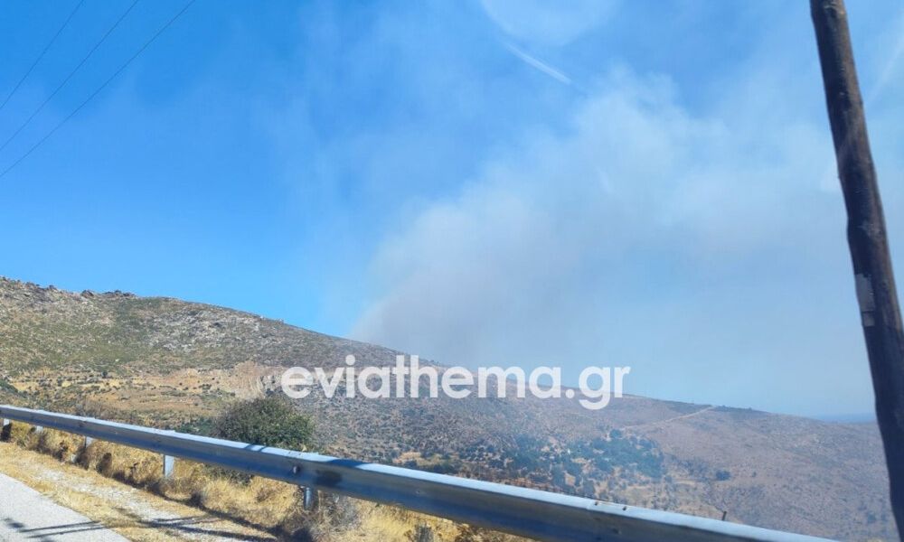 Επιχειρήσεις κατάσβεσης με 58 πυροσβέστες και εναέρια μέσα.