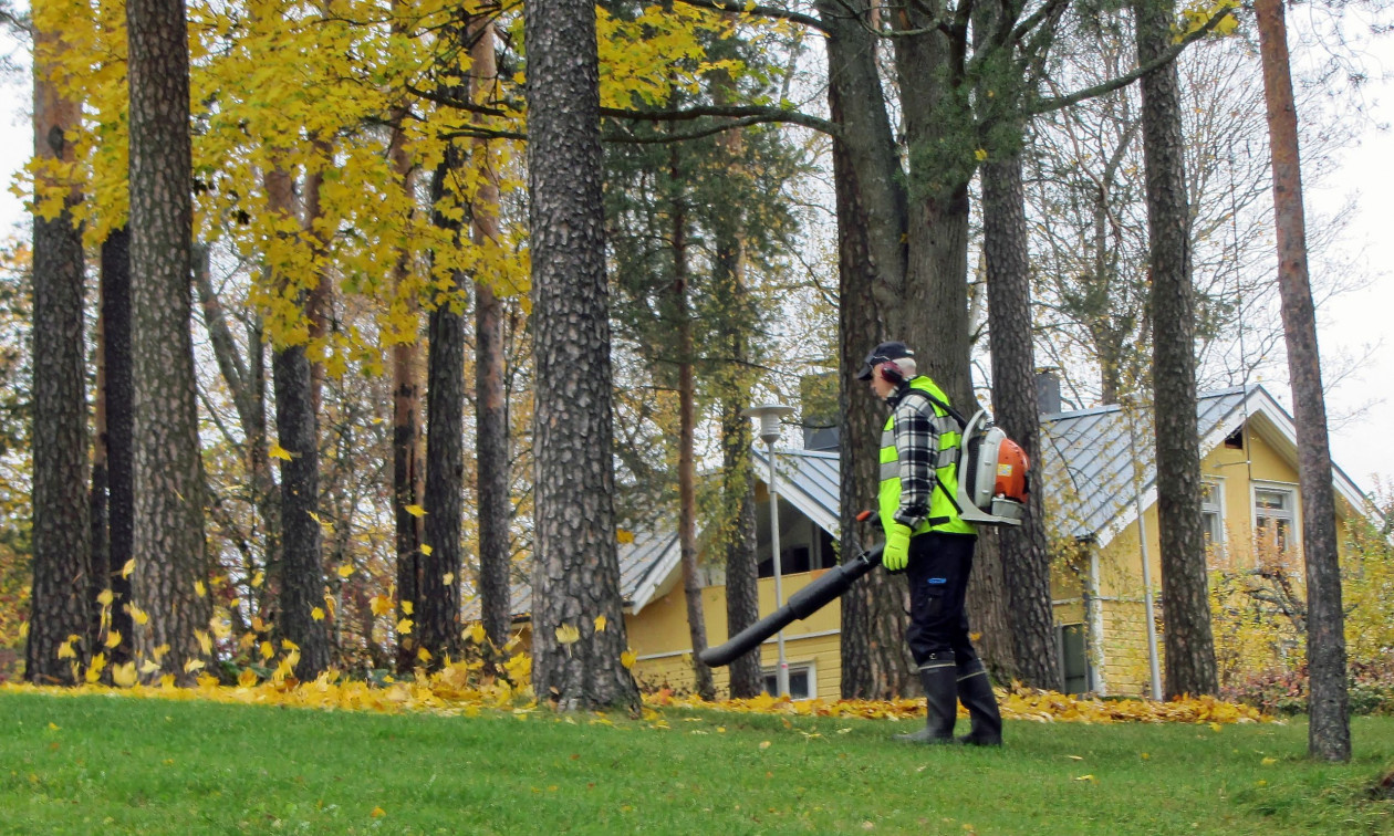 2c27bfaf-leafblower.jpg?t=Ig9tzxx865i_Ids5bXIJmg